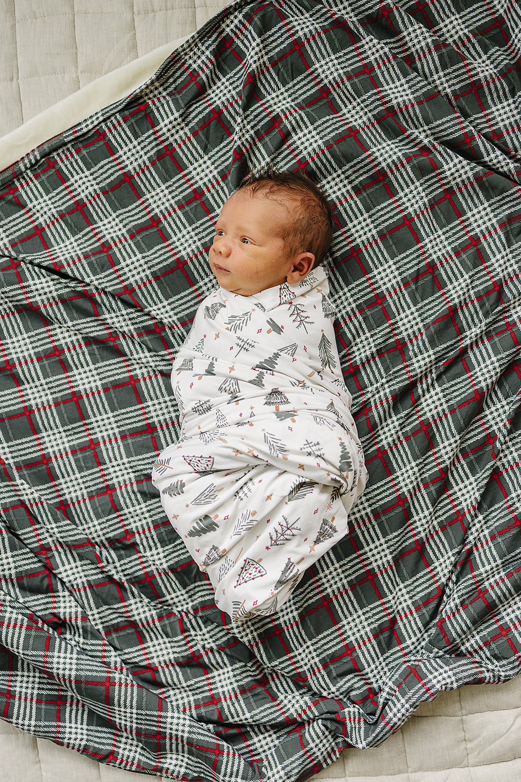 Christmas Tree Stretch Swaddle